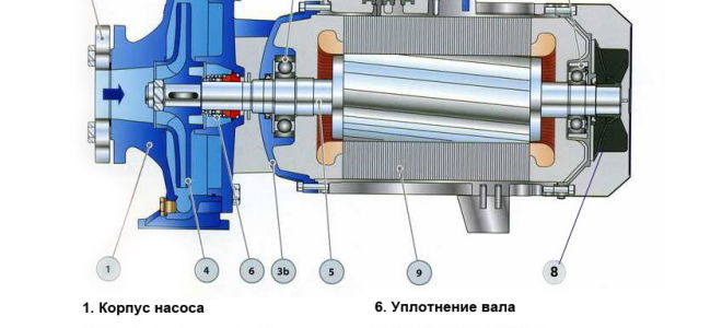 Обзор модельного ряда насосов aquario