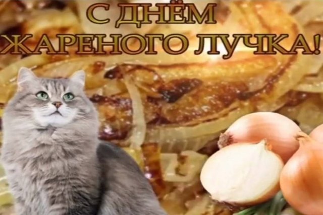 С днем трубы мем