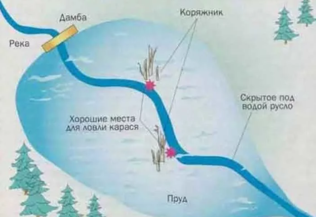 Рыбалка канал имени москвы труба