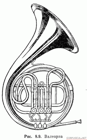 Самый низкий по звучанию инструмент туба труба валторна